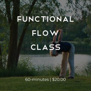 MIND Functional Flow Class