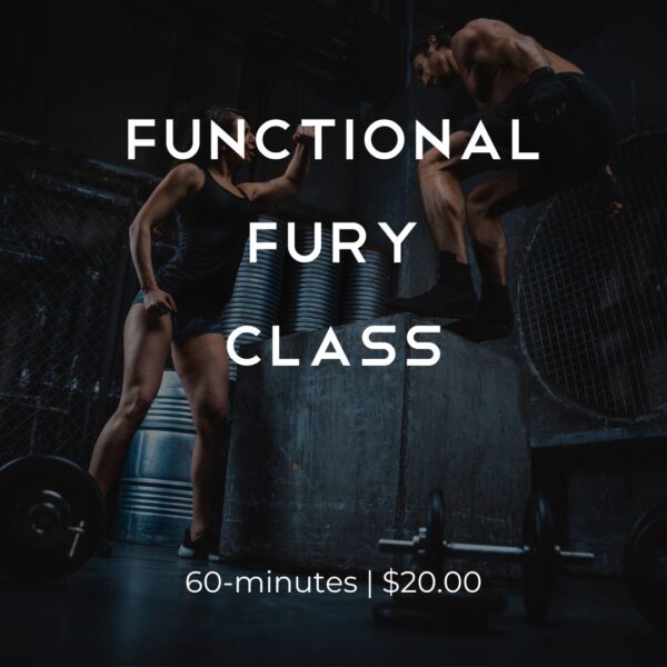 MIND Functional Fury Class